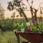 Il Fienile Di Jenny Sinalunga